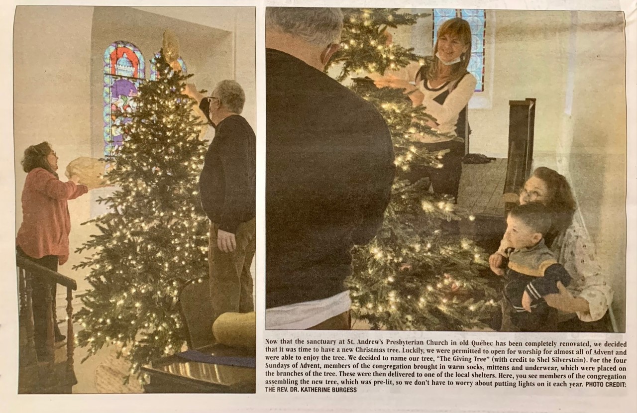 Tree article