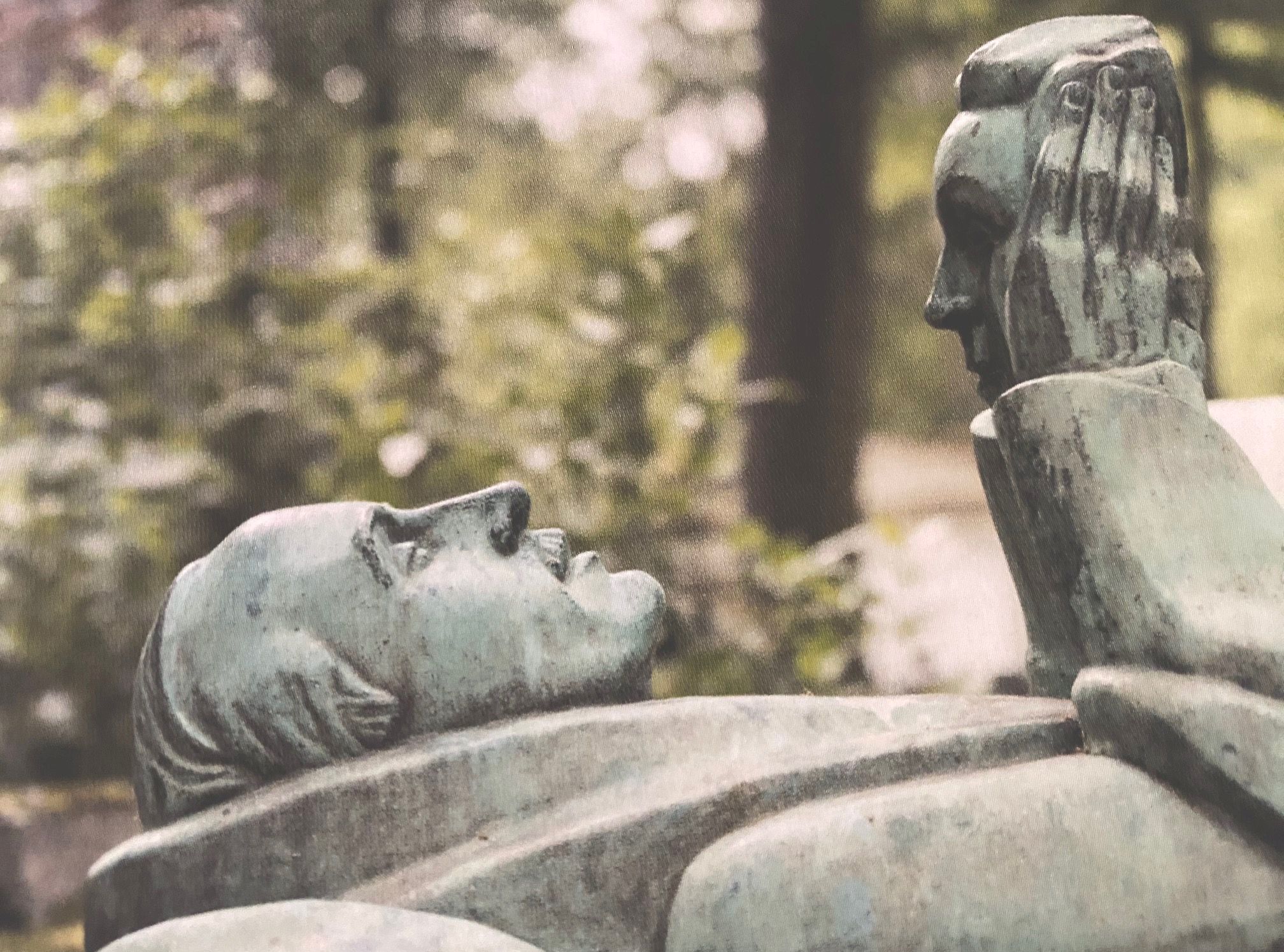 Quoi de beau ? Novembre 2025