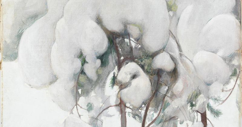 Quoi de beau ? février 2026