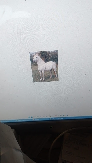 Img 20250416 wa0026