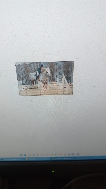 Img 20250416 wa0023