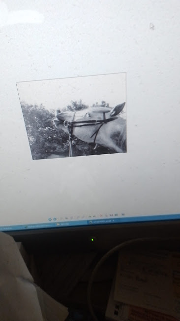 Img 20250416 wa0021