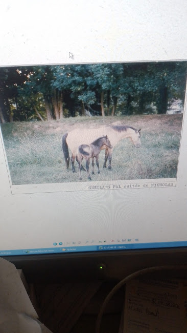 Img 20250416 wa0014