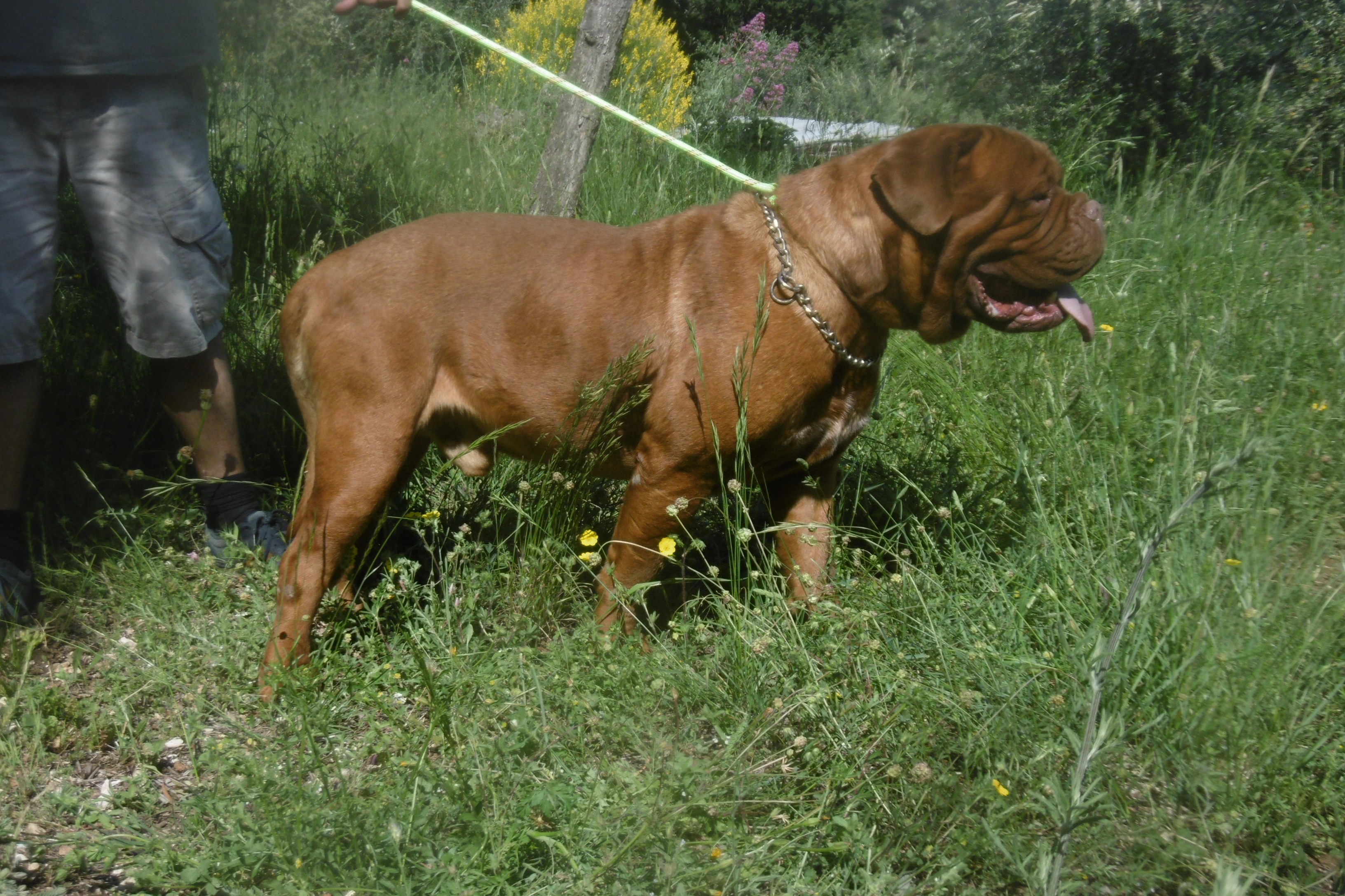 P1000665