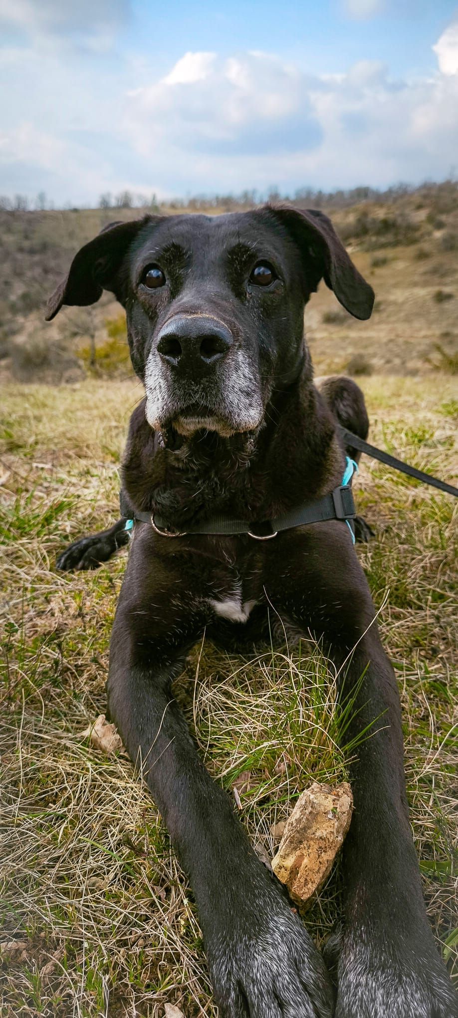 Whatsapp image 2025 03 15 at 17 42 05 1 