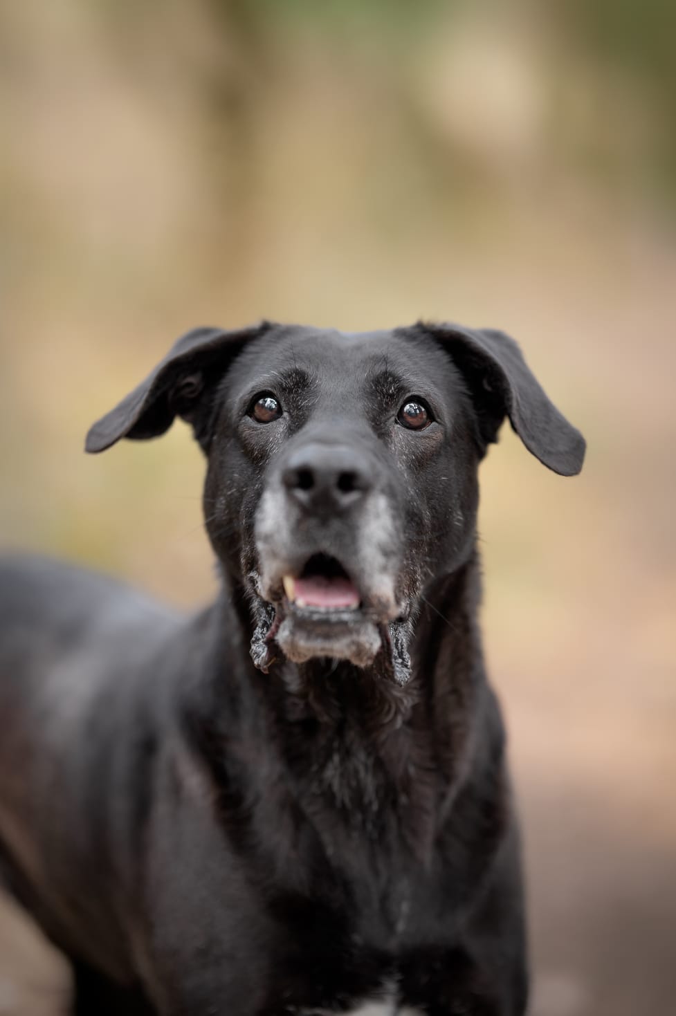 Whatsapp image 2025 03 20 at 17 50 29 1 