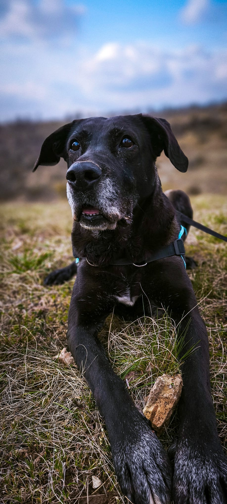 Whatsapp image 2025 03 15 at 17 42 05