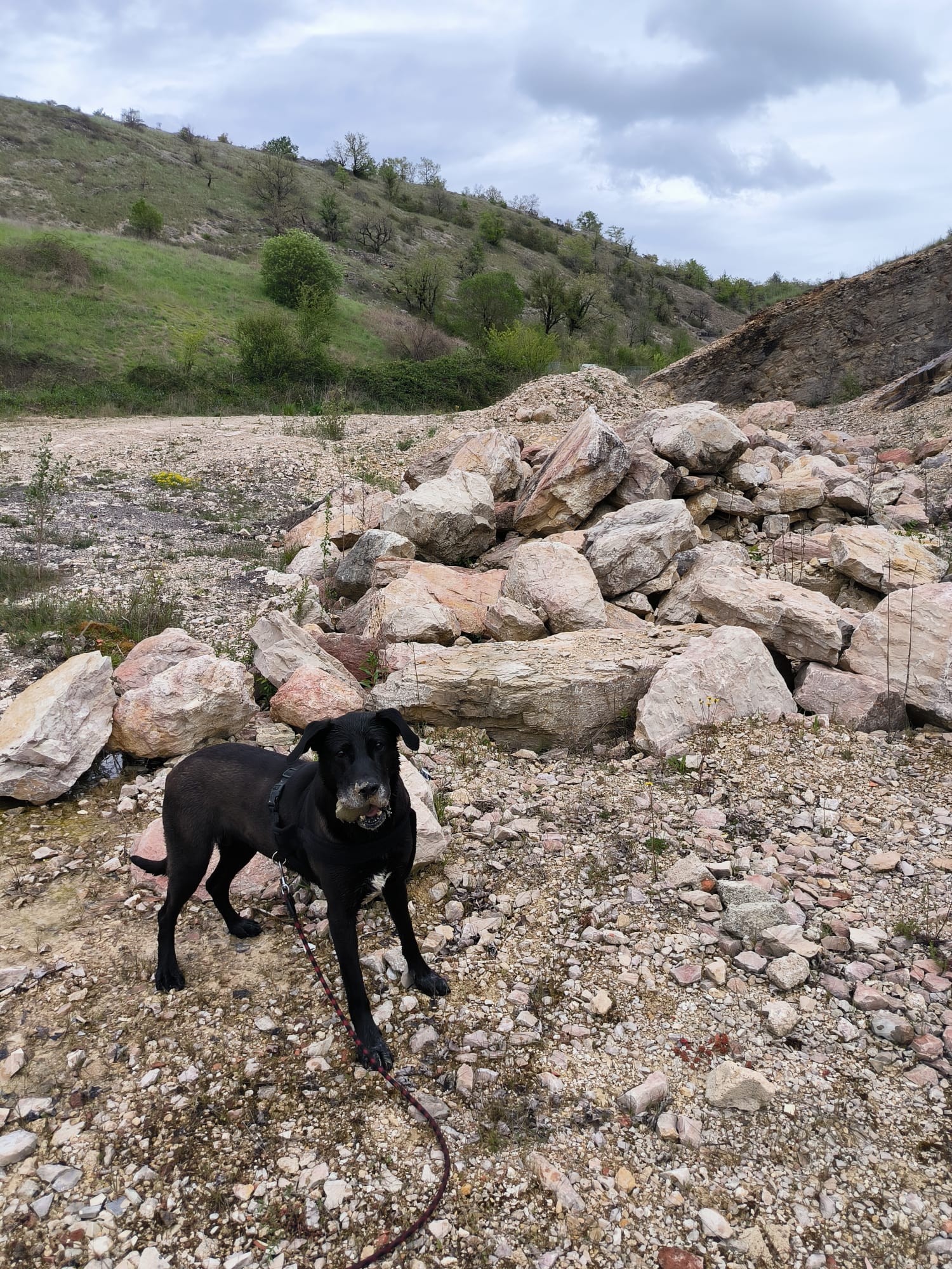 Whatsapp image 2025 04 20 at 16 46 18 1 