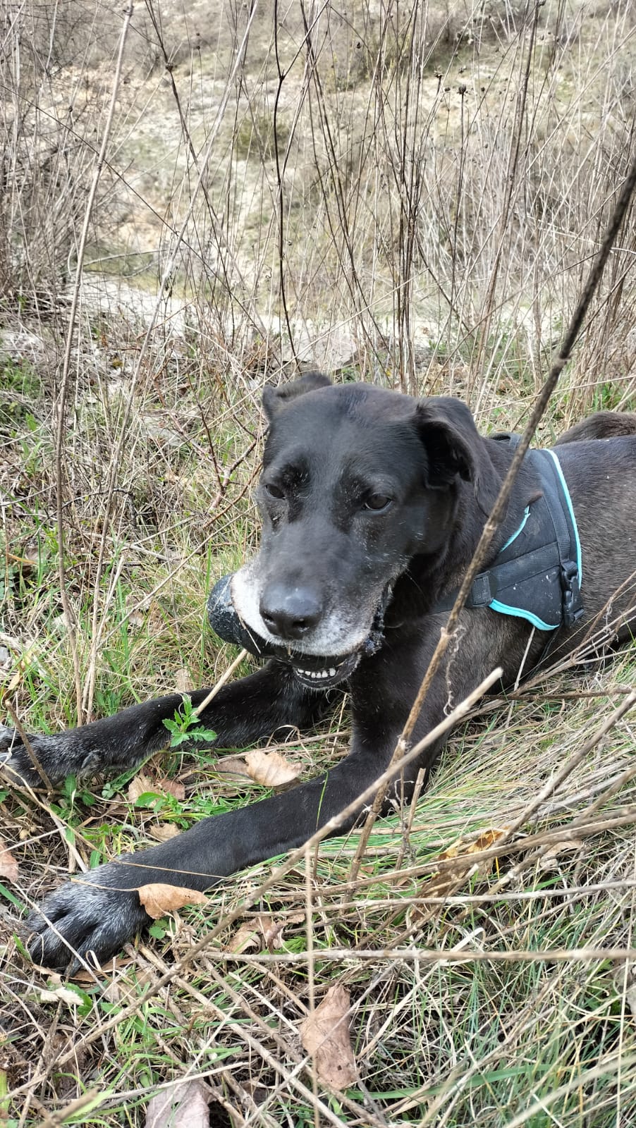 Whatsapp image 2025 03 29 at 18 25 55