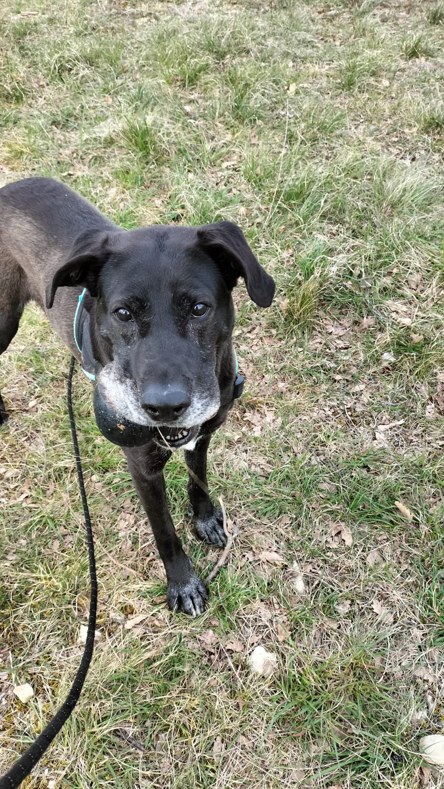 Whatsapp image 2025 03 29 at 18 25 56