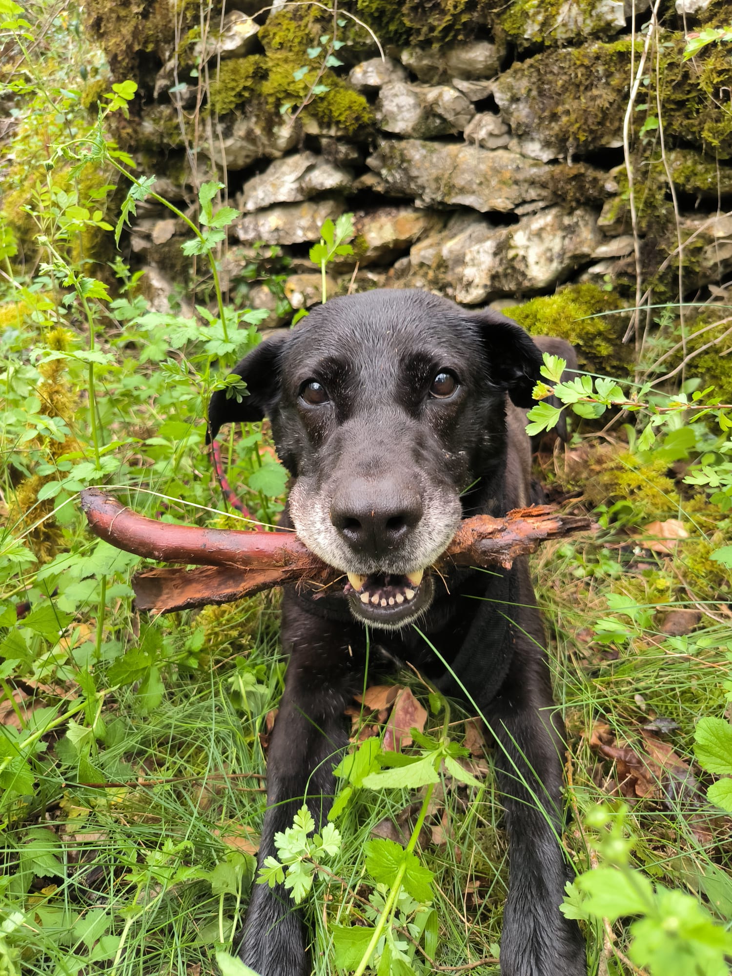 Whatsapp image 2025 04 20 at 16 46 18