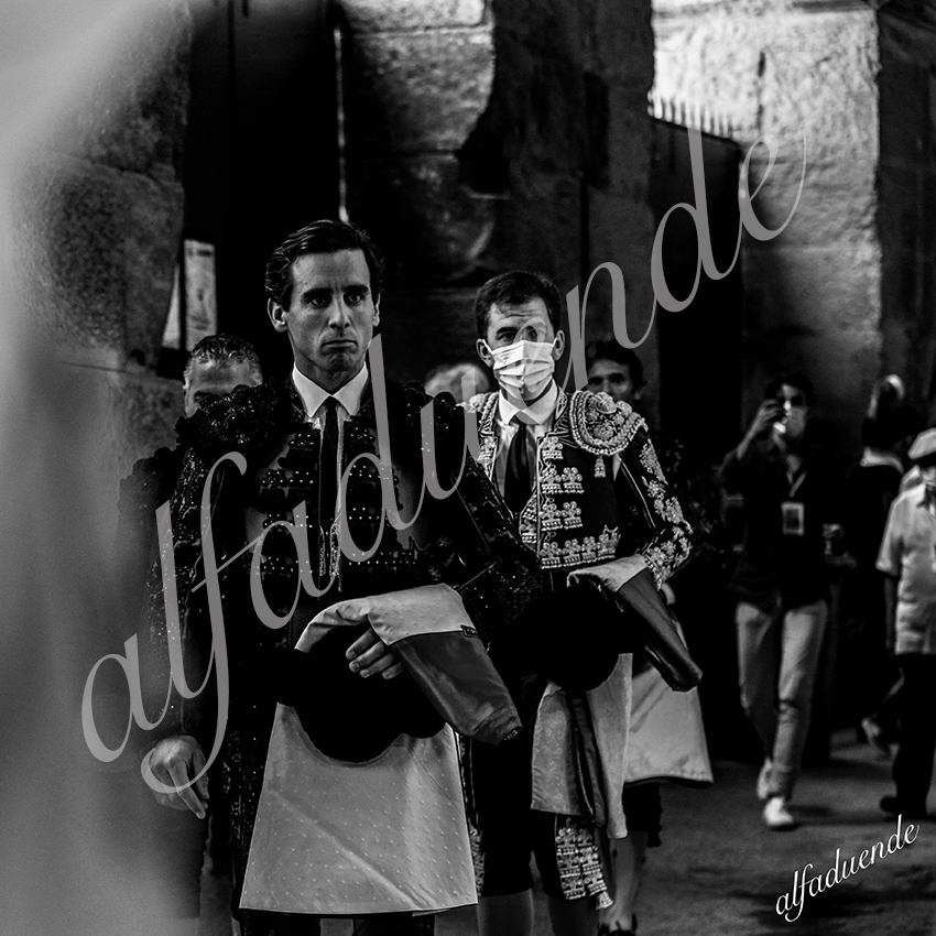 20210612 nimes alfaduende 0001 bw hd