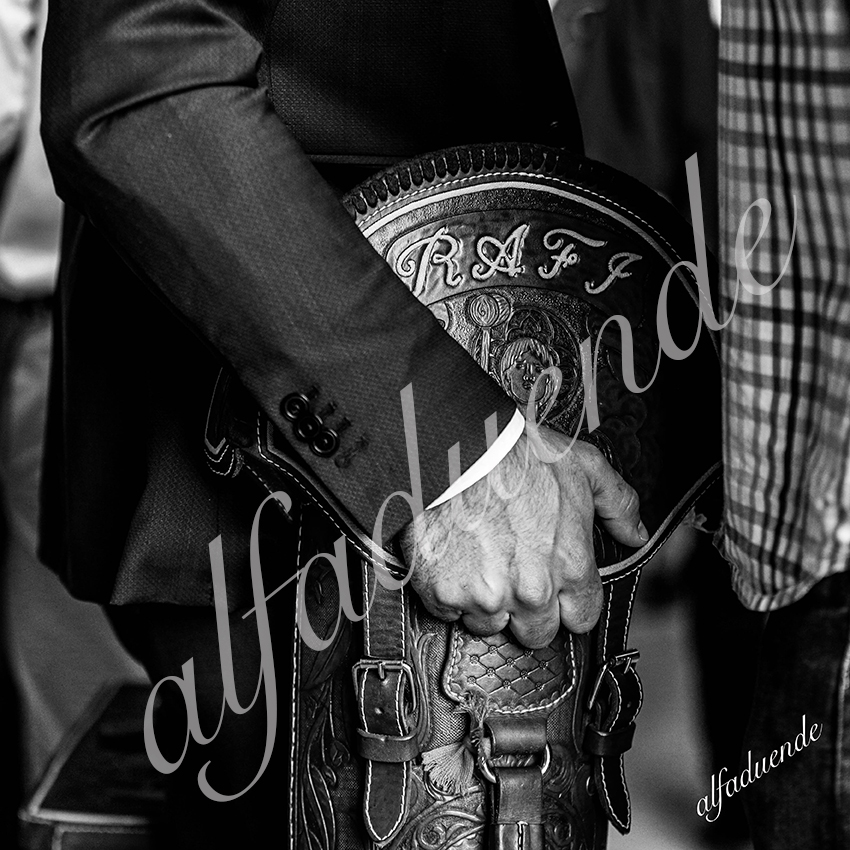 20210612 nimes alfaduende 0002 bw hd