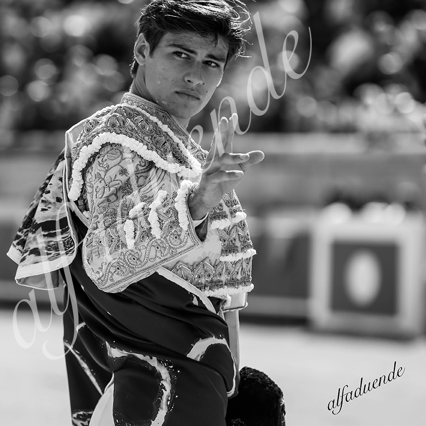 20210612 nimes alfaduende 0005 bw hd