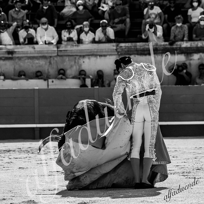 20210612 nimes alfaduende 0006 bw hd