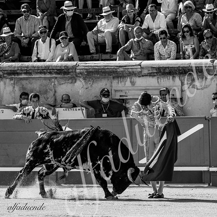 20210612 nimes alfaduende 0008 bw hd