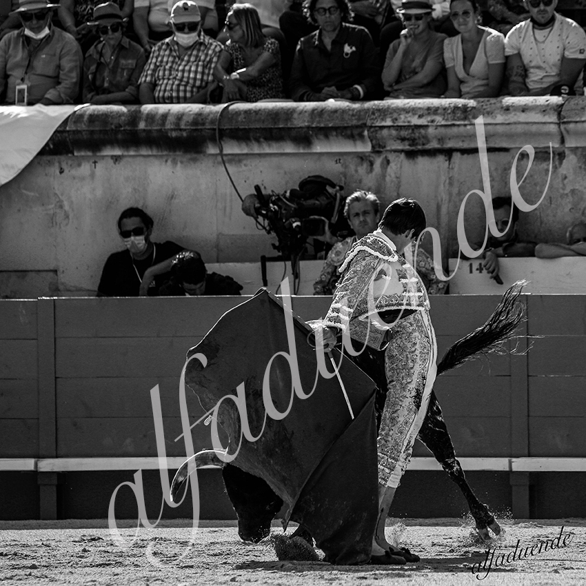 20210612 nimes alfaduende 0011 bw hd