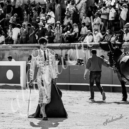 20210612 nimes alfaduende 0012 bw hd