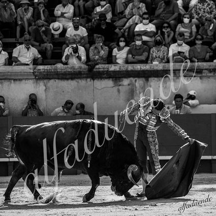 20210612 nimes alfaduende 0013 bw hd