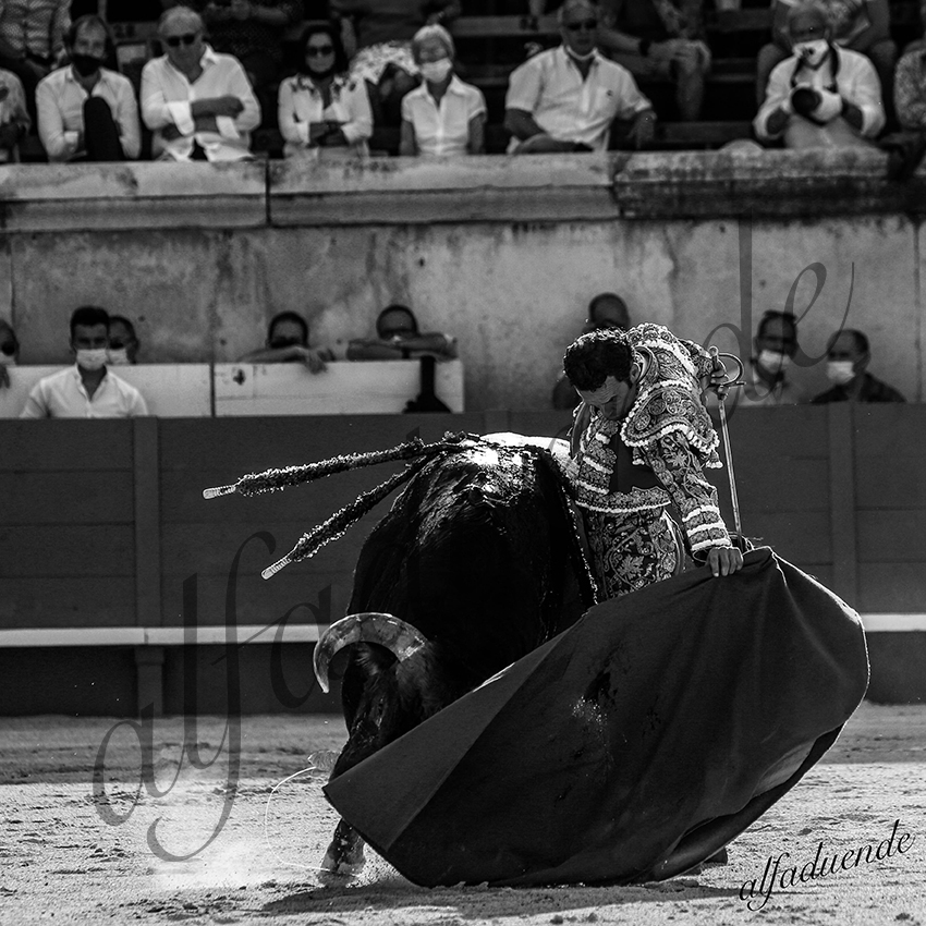 20210612 nimes alfaduende 0014 bw hd
