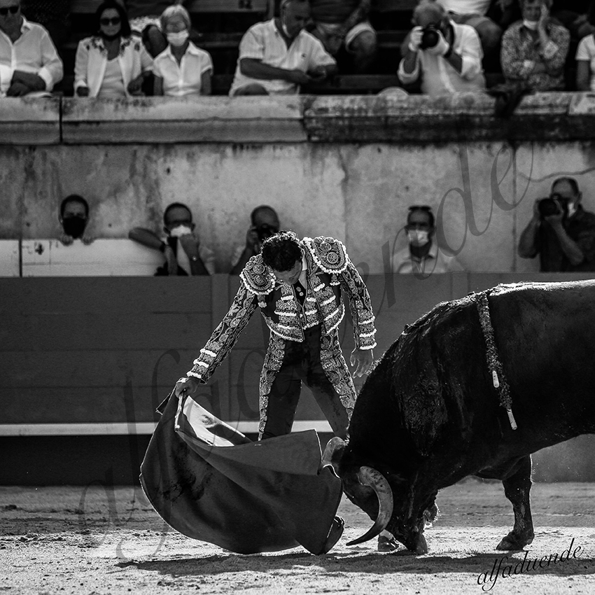 20210612 nimes alfaduende 0015 bw hd