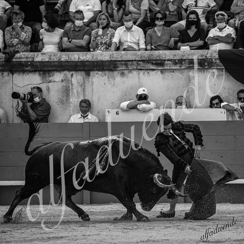 20210612 nimes alfaduende 0017 bw hd