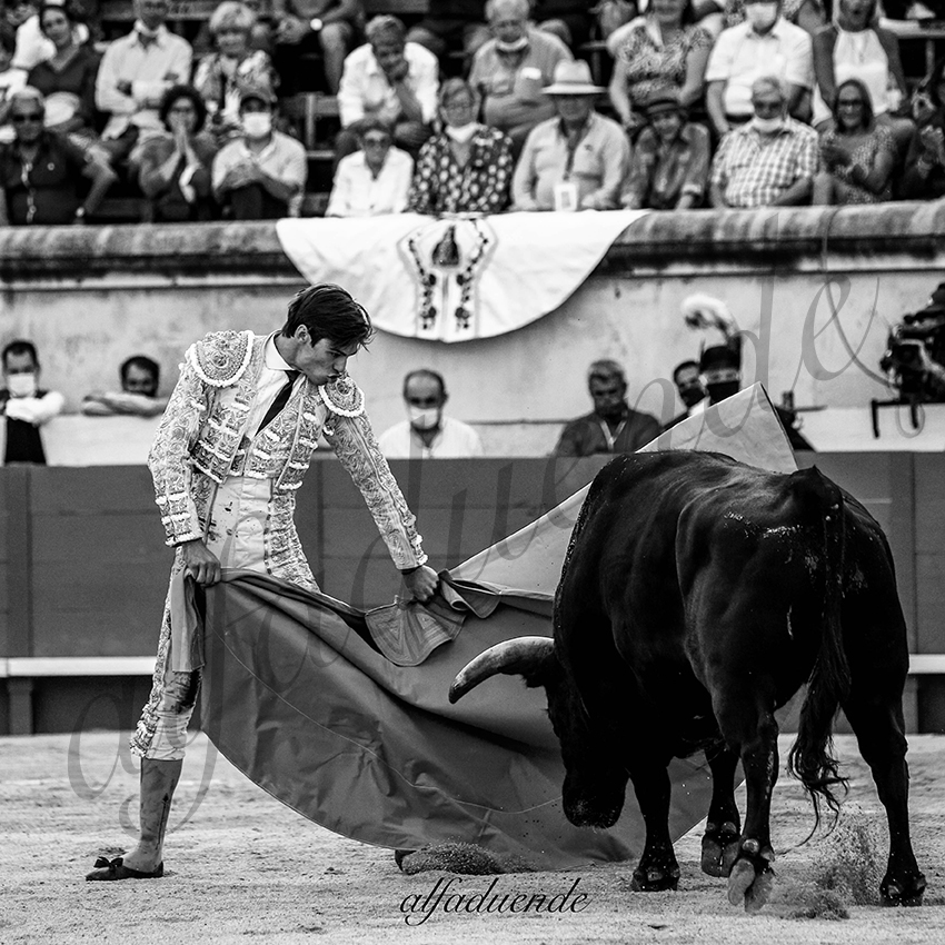 20210612 nimes alfaduende 0018 bw hd