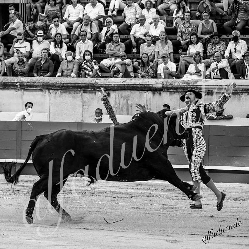 20210612 nimes alfaduende 0019 bw hd