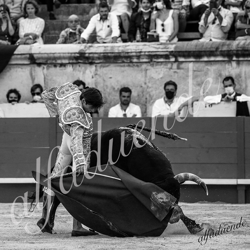20210612 nimes alfaduende 0021 bw hd