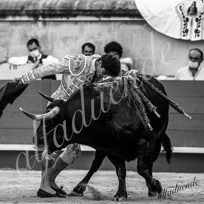 20210612 nimes alfaduende 0022 bw hd
