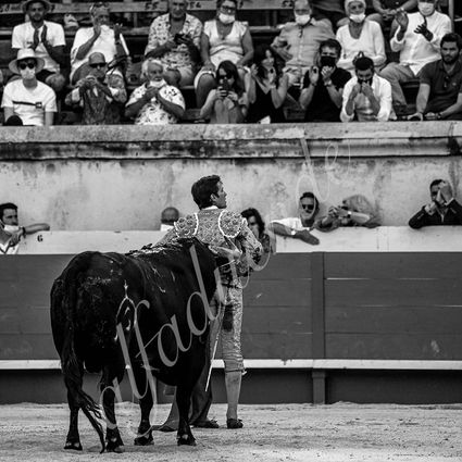 20210613 nimes alfaduende 0003 bw fd watermark