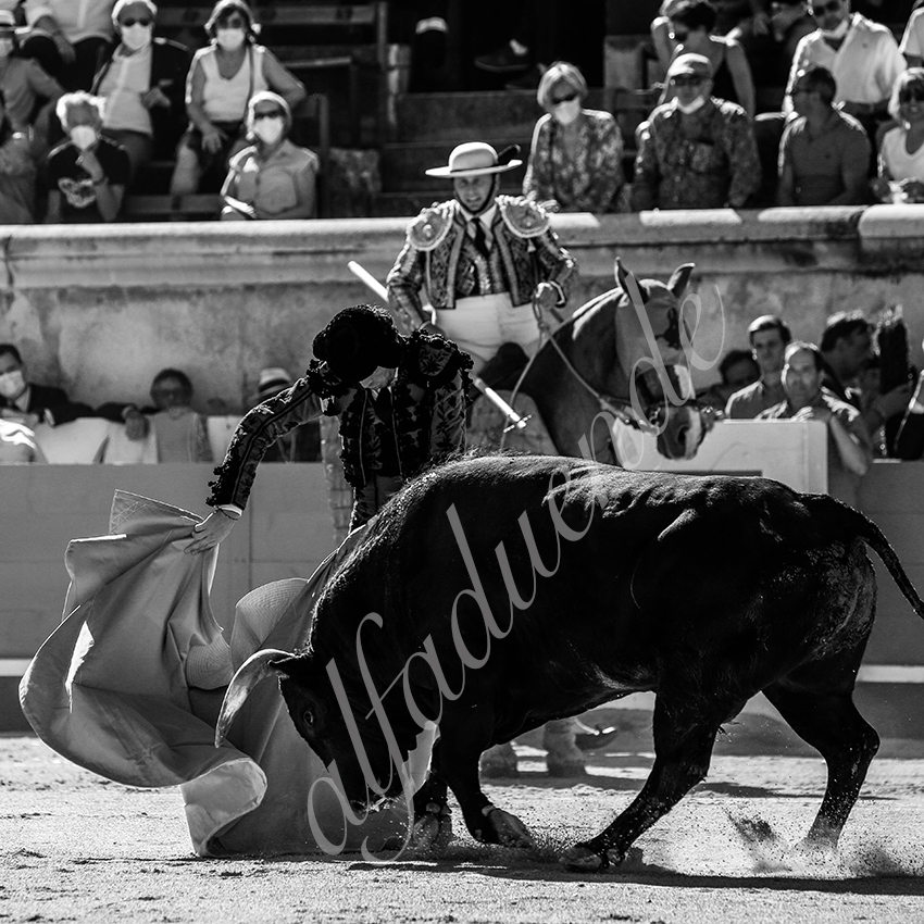 20210613 nimes alfaduende 0008 bw fd watermark