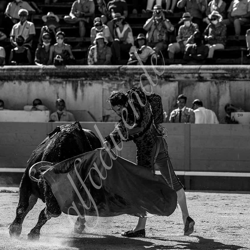 20210613 nimes alfaduende 0010 bw fd watermark