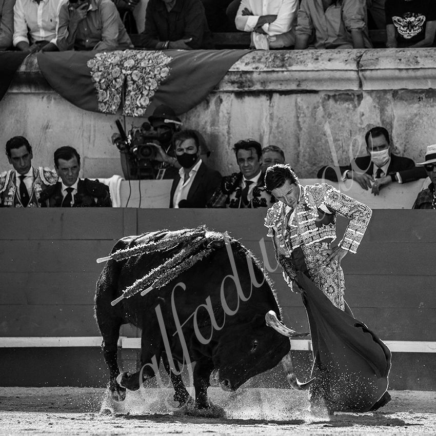 20210613 nimes alfaduende 0012 bw fd watermark