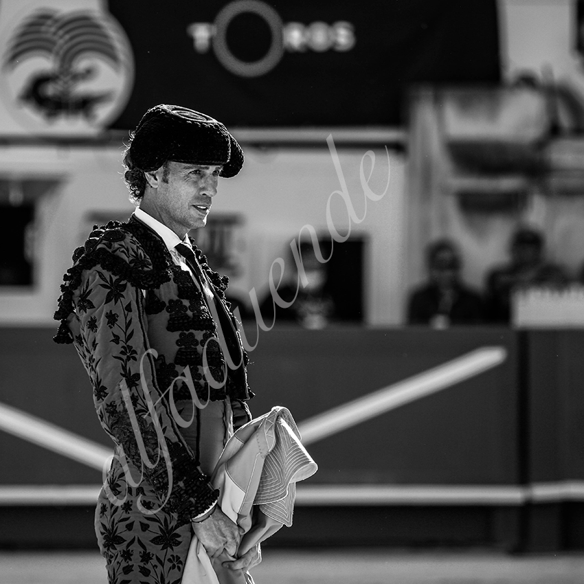 20210613 nimes alfaduende 0014 bw fd watermark