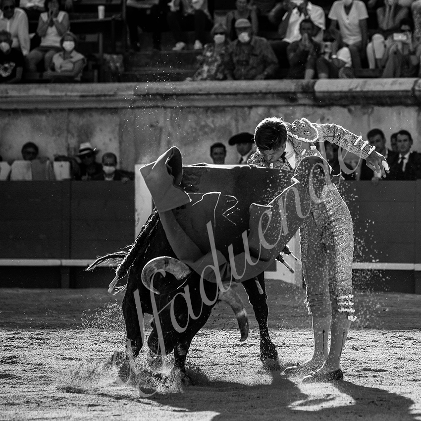 20210613 nimes alfaduende 0015 bw fd watermark