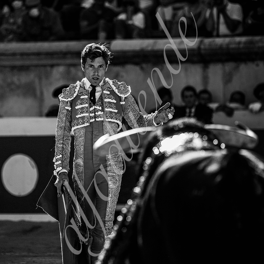 20210613 nimes alfaduende 0016 bw fd watermark