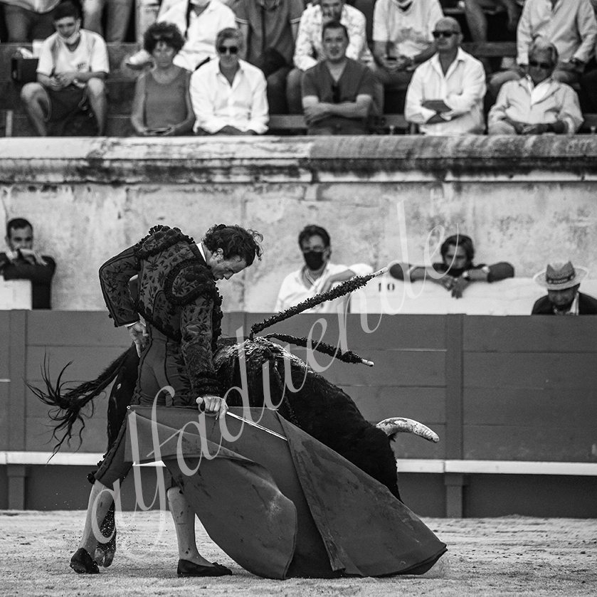 20210613 nimes alfaduende 0018 bw fd watermark