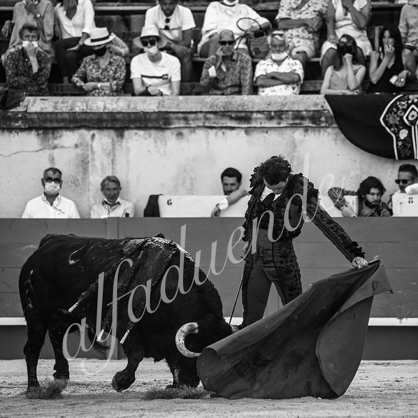 20210613 nimes alfaduende 0019 bw fd watermark
