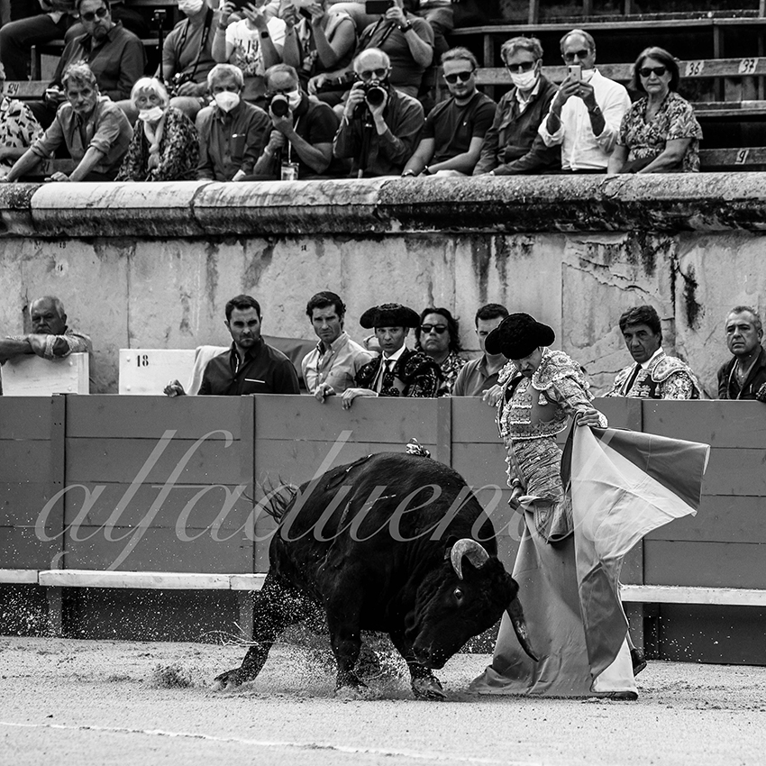 Nimes 20210916 alfaduende 003 fd