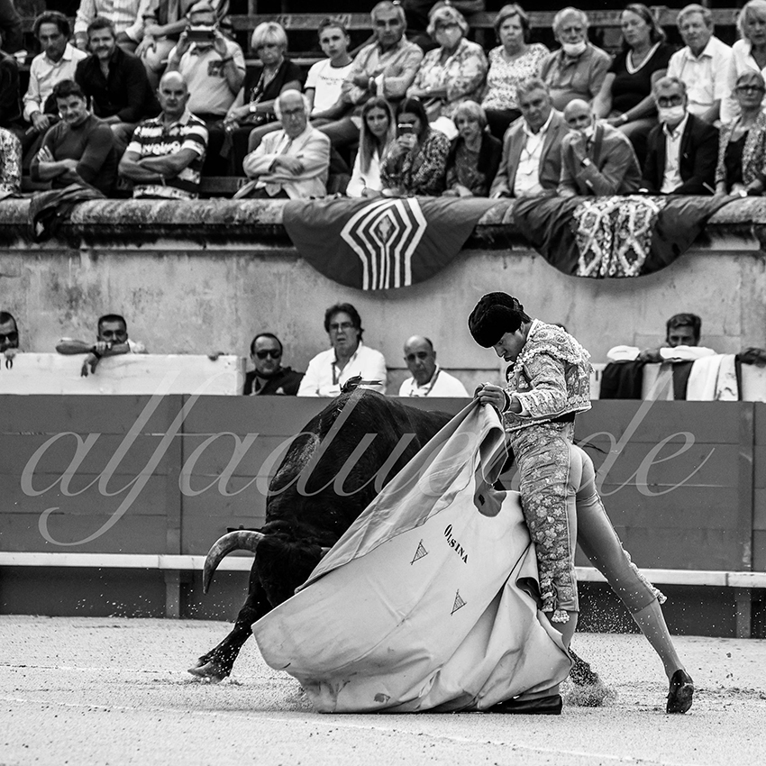 Nimes 20210916 alfaduende 004 fd