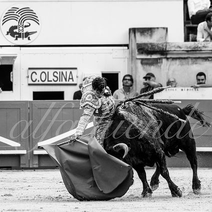 Nimes 20210916 alfaduende 005 fd