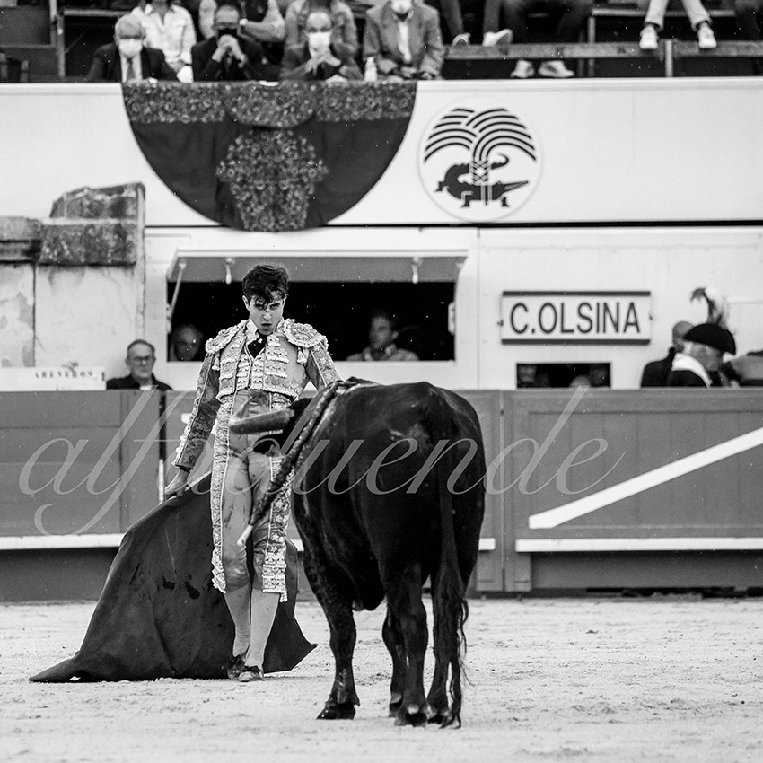 Nimes 20210916 alfaduende 006 fd