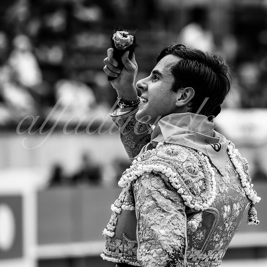 Nimes 20210916 alfaduende 007 fd