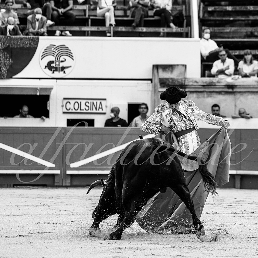 Nimes 20210916 alfaduende 009 fd