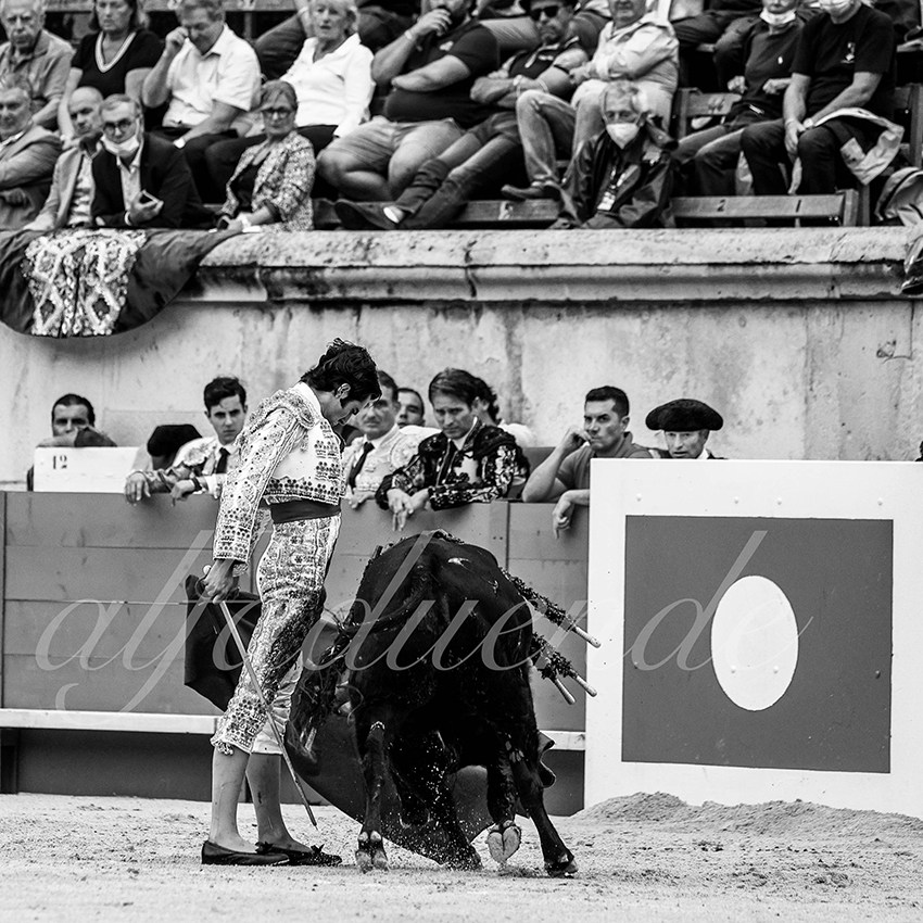 Nimes 20210916 alfaduende 010 fd