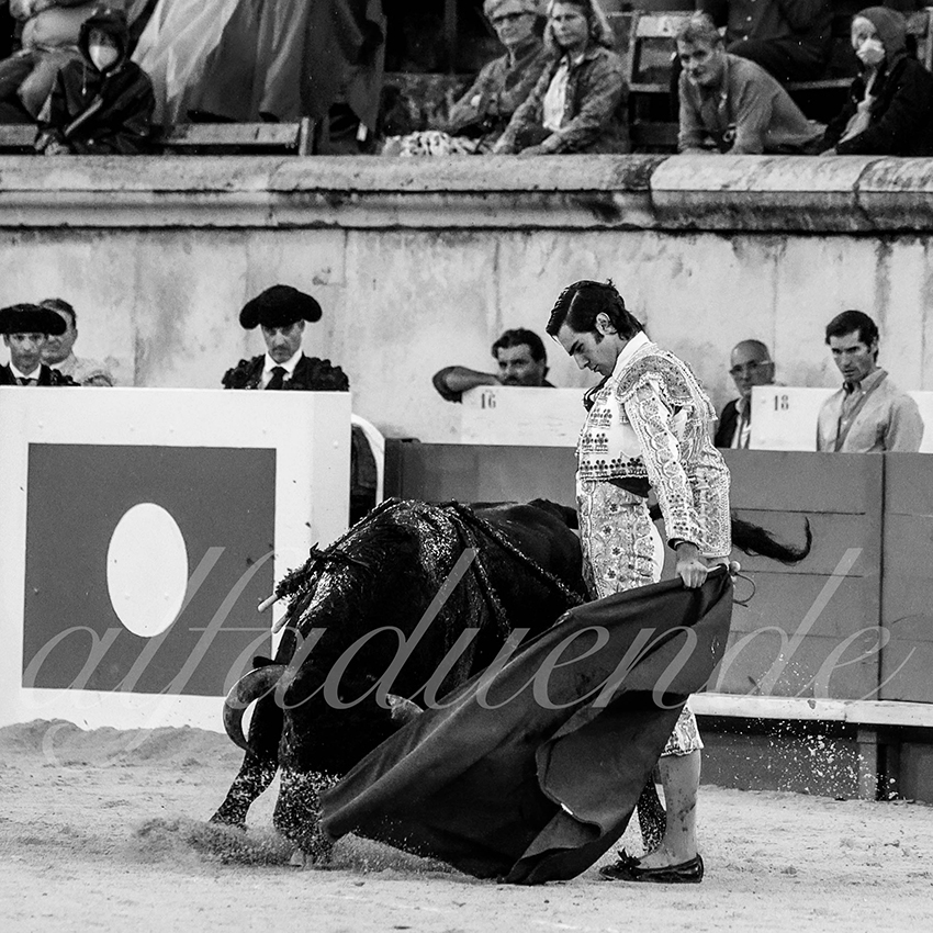 Nimes 20210916 alfaduende 011 fd