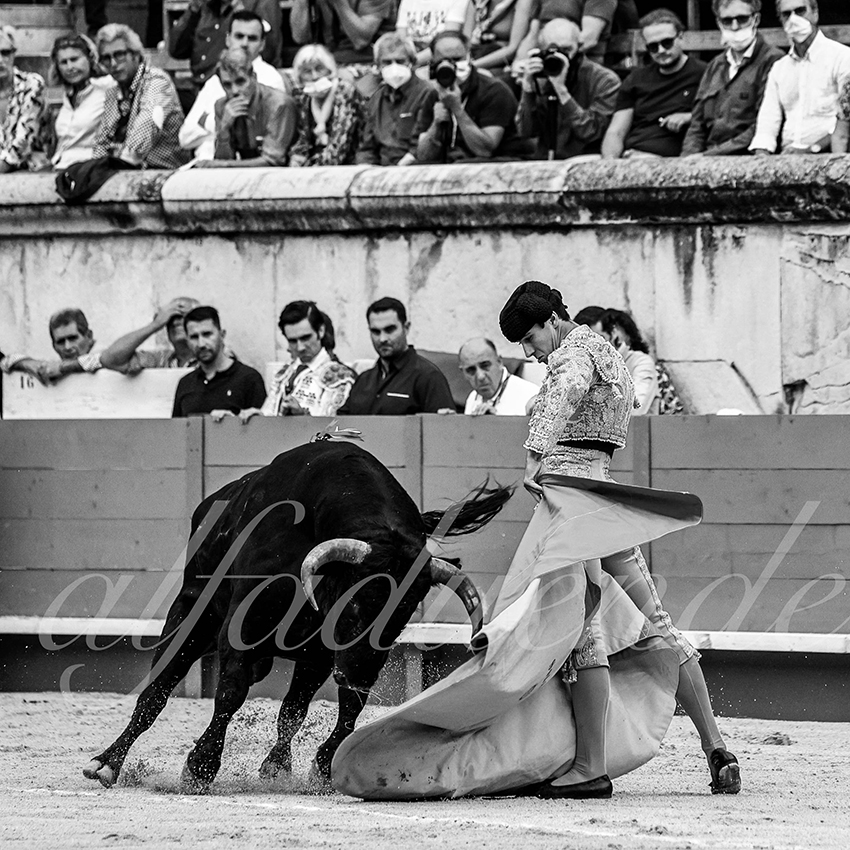 Nimes 20210916 alfaduende 012 fd