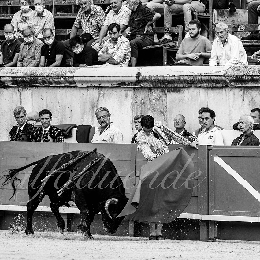 Nimes 20210916 alfaduende 013 fd