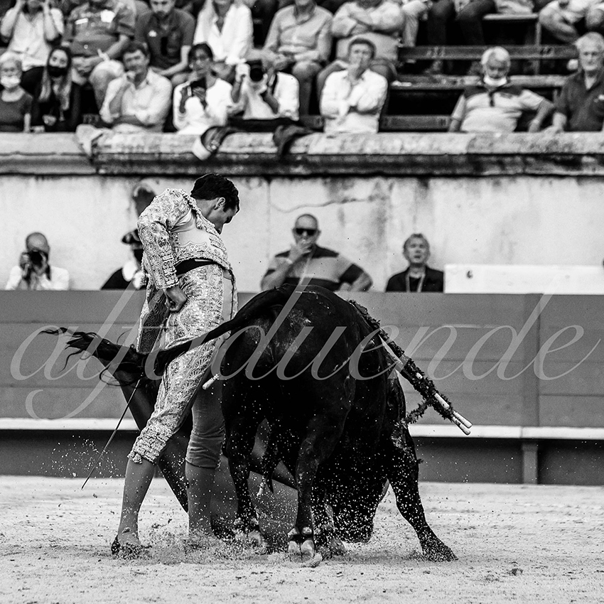 Nimes 20210916 alfaduende 014 fd
